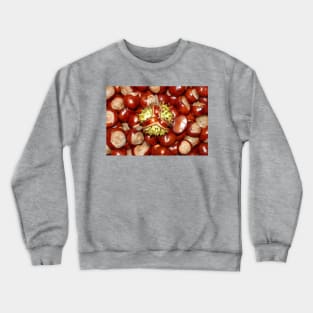 horse chestnut - conkers Crewneck Sweatshirt